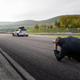 Illustration for article titled Show-Car Owner Uses Forza 6 To Plan An Unbelievably Fast Photoshoot em/em